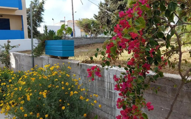 Bahia- apartment by the sea,close to cedar forest!