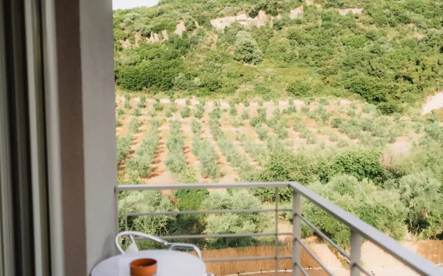 Socrates Organic Village