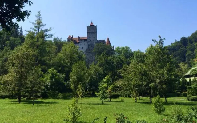 Pensiunea Pinul