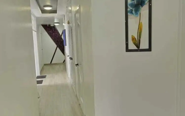 Hostal Flightless Cormorant