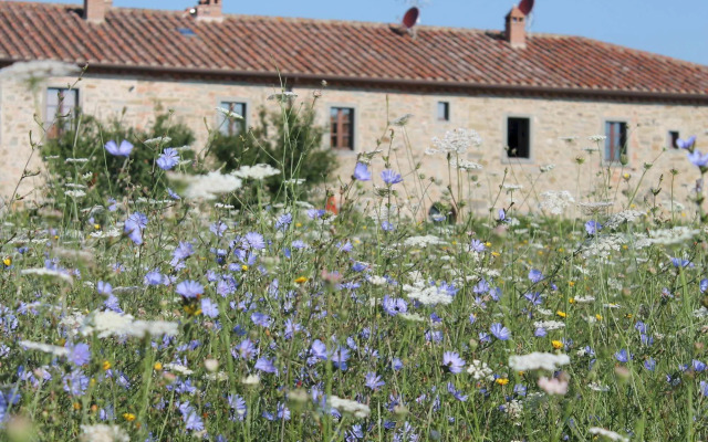 Il Grifone A Cortona