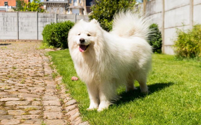 Belle Hôtel, Lille Ouest