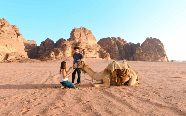 Wadi Rum Firecamp