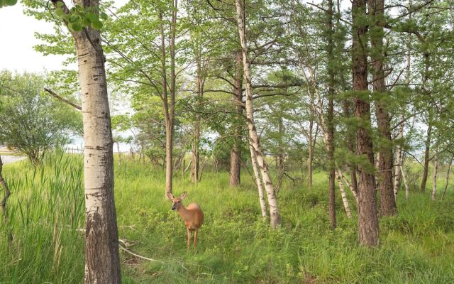 Pool & Beach Access: Charming Poconos Cabin!