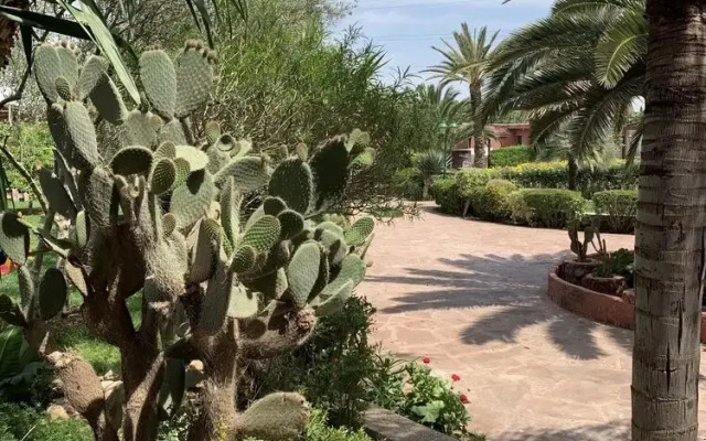 Equi Palace & Spa