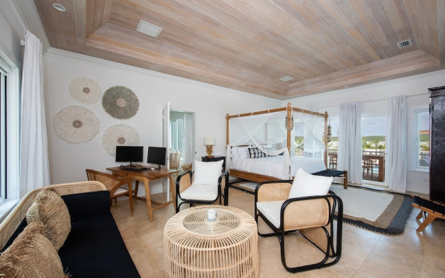 Turtle Pointe - Lux New Windermere Home W/pool, Boat Dock, Beach 3 Bedroom Home — фото 4
