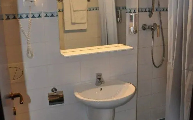 Carpathian Hotel Sibiu