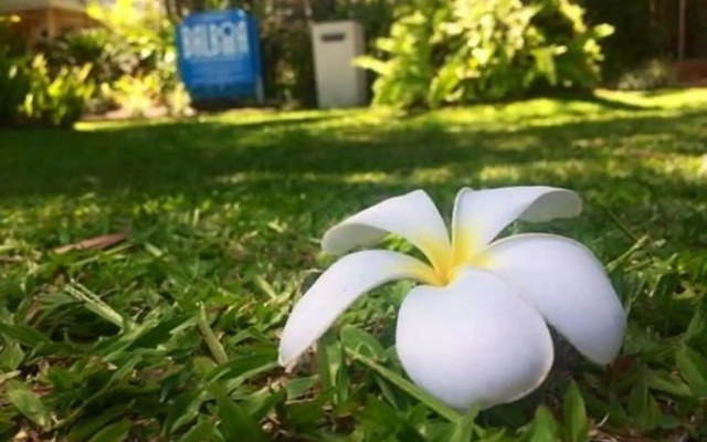 Balboa Holiday Apartments