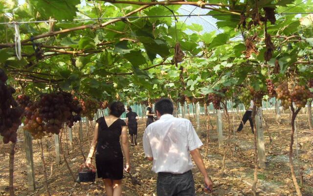 Niutoushan Leisure Clubhouse