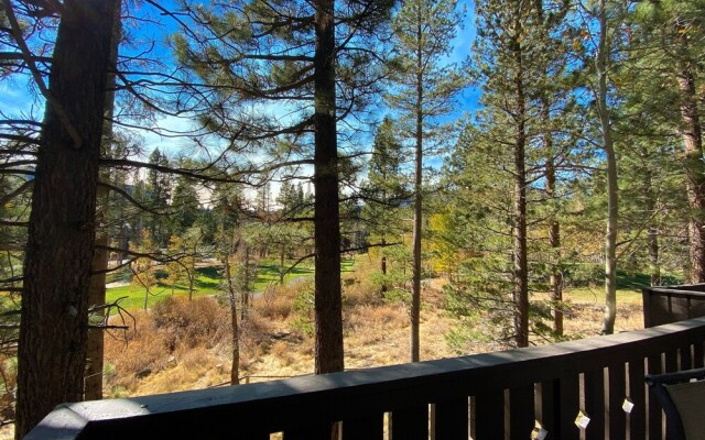 Timbers 15 Private Hot Tub, 2 Car Garage, Washer Dryer, Large Townhouse by RedAwning