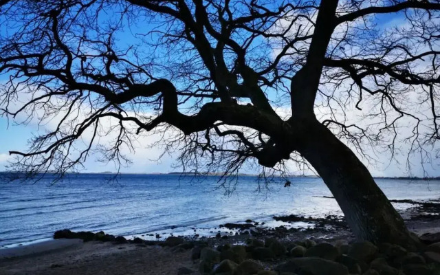 My Baltic Sea Place House by the sea 9
