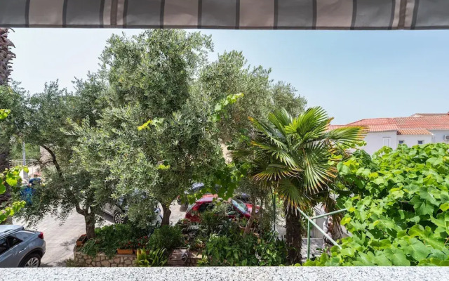 Cozy Apartment Branka With Nice Garden 6
