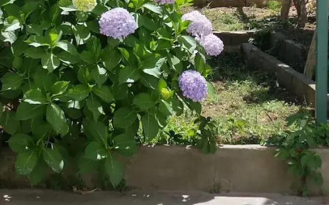 Capri MyHouse 2