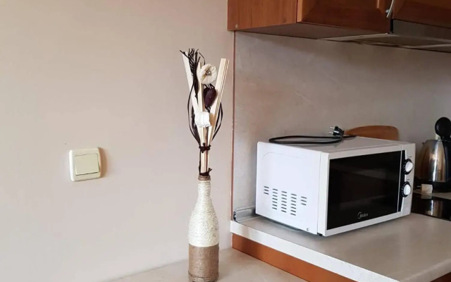 Edelweiss Inn Apartment 20