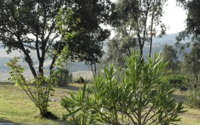 Fantastic Apartment in Massa Marittima