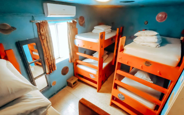 Hostel Malti