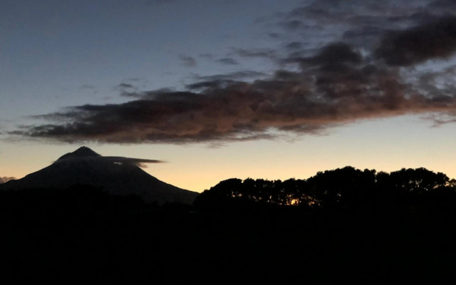 @Taradise-Opunake - eco-friendly Coastal hideaway