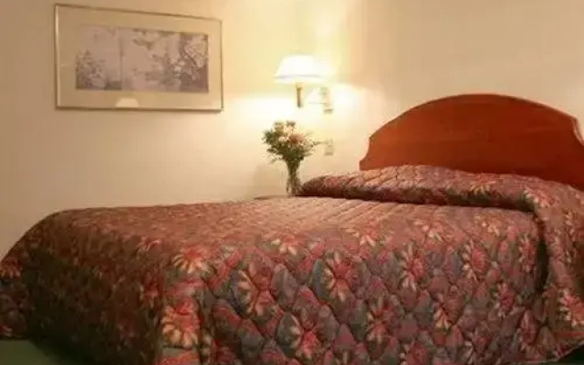 University Avenue Studios