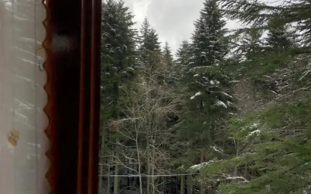 Appartamenti Boscolungo