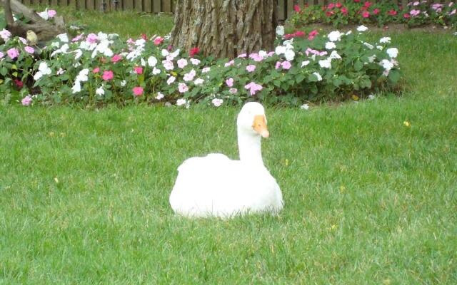 The Earl of Sandwich Motel