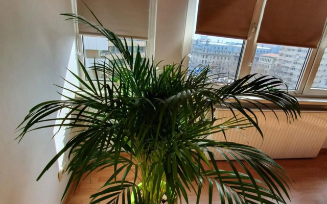 Ultracentral Apartments