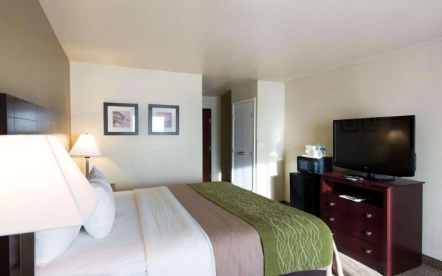 Comfort Inn & Suites Mansfield