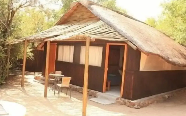 Offbeat Safaris