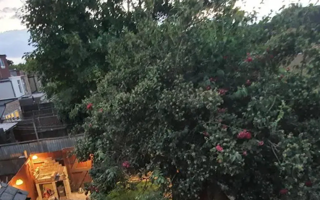 Monalisa single room near Edgware station