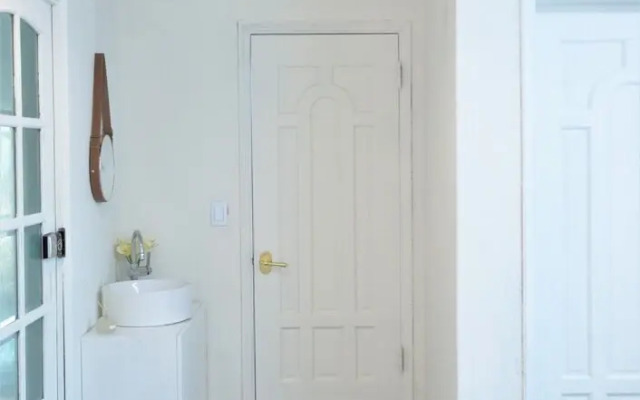 Apple Mint Party House