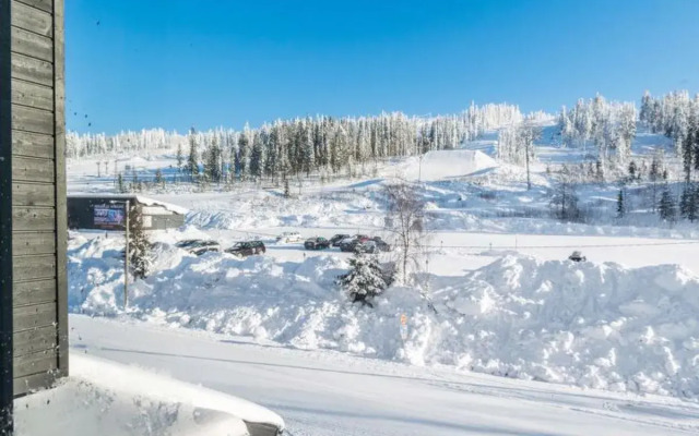 Skivillas 61 ukkohalla (b4)