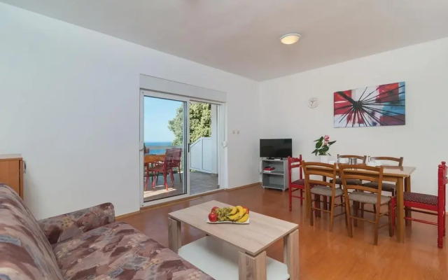 Nice Home in Stanici With Wifi and 2 Bedrooms