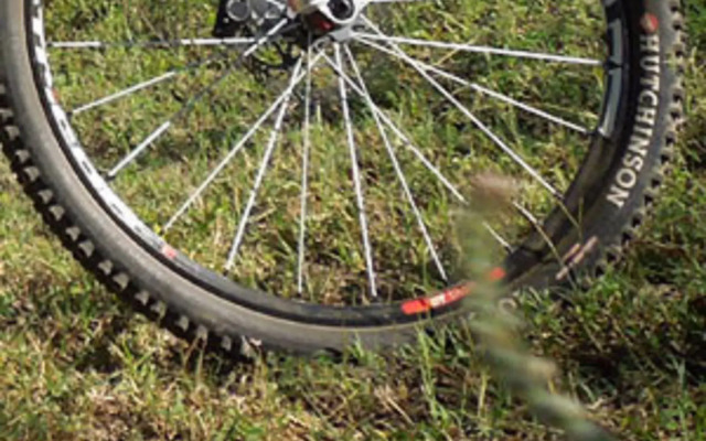 Discovery Resorts – Cradle Mountain