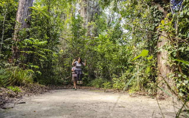 Ferns Hideaway Resort