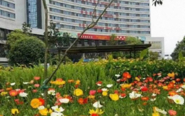 Xingshun Business Hotel