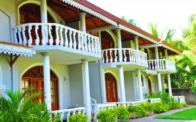 Bougain Villa by Tree