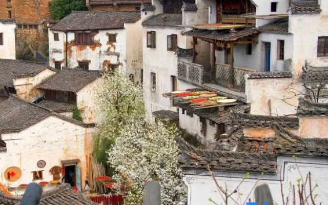 Wuyuan Leye Mountain House (Huangling Scenic Area Terraced Fields Flower Sea) – Exterior – Shangrao