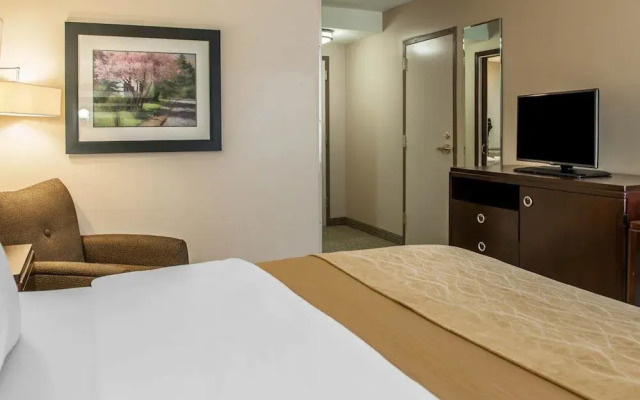 Comfort Inn