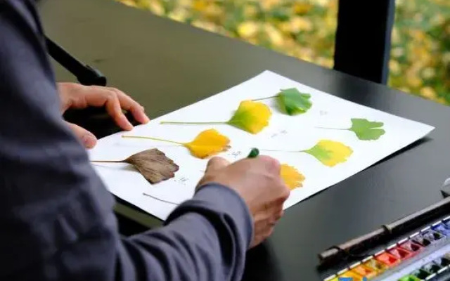 Suzhou Ruixiangyuan Ginkgo Gardens Hotel