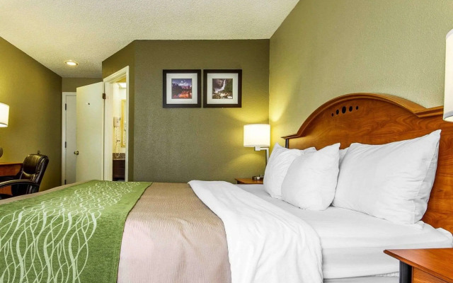 Comfort Inn Modesto