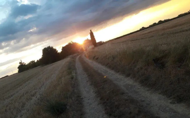 Organic Provence - Chambre d'hôte