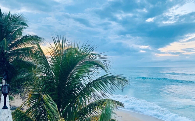 Ventana al Atlantico at Arecibo 681 Ocean Drive