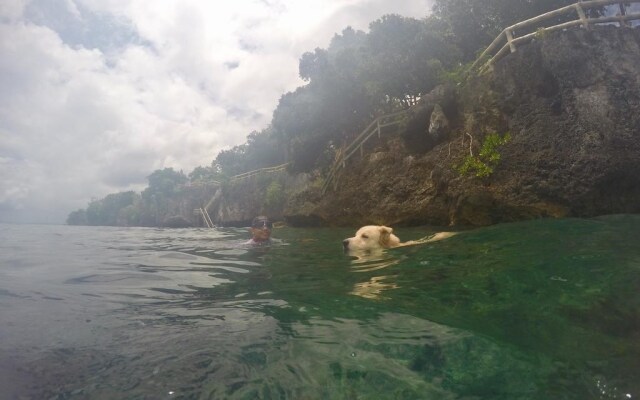 Alexis Cliff Dive Resort