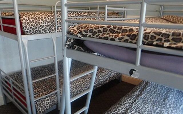 The Hangover Hotel - Hostel