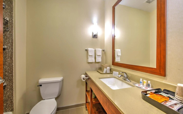 Comfort Suites Tomball Medical Center