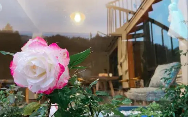 Zhulin Youju Hostel