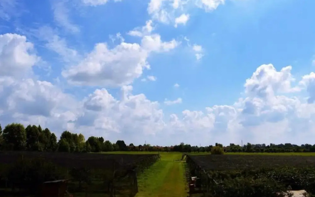 Agriturismo Sartori Terenzio