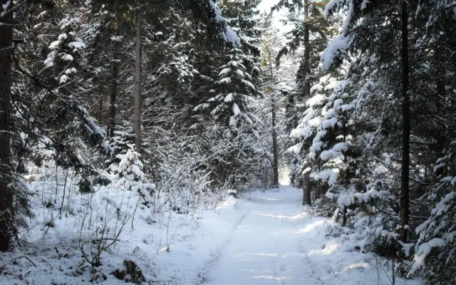 Ferienhaus Gestüt Pfaffenlehen
