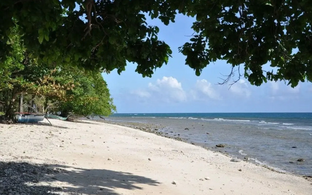 Jungle Beach Resort