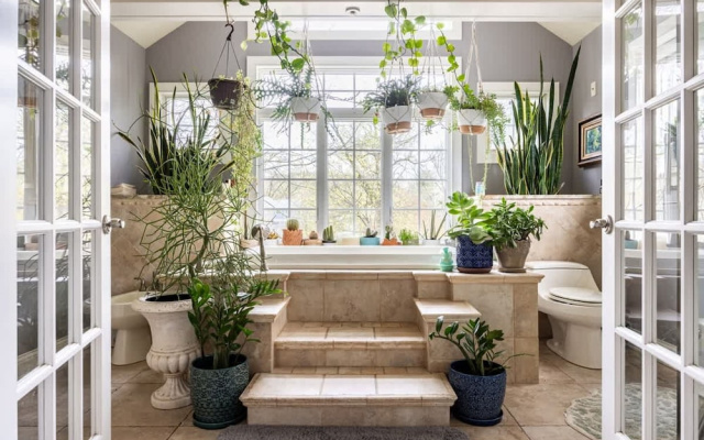 Unique Luxury Central Historic Landmark Home