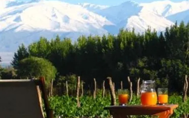 Postales by DOT Boutique